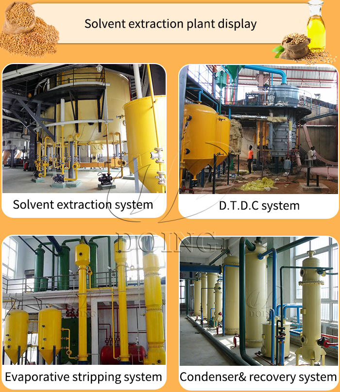 Cooking oil solvent extraction plant combination diagram