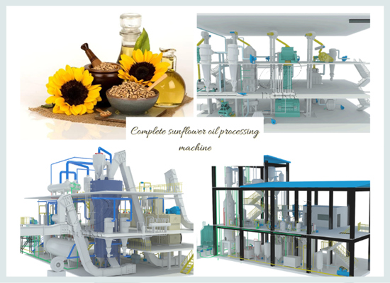 How to achieve mechanization of sunflower oil processing?