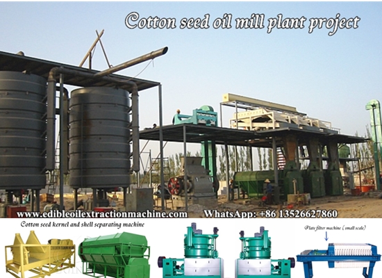 What are the extraction methods of cottonseed oil, and how to choose the appropriate cottonseed oil extraction equipment?