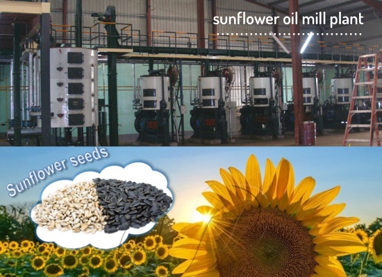 The most frequently asked questions about starting sunflower oil processing business
