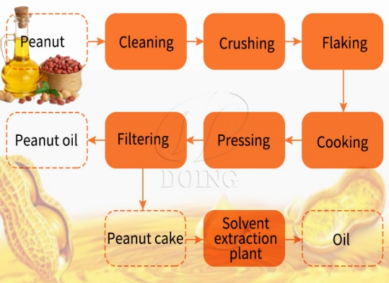 What are the steps to extract peanut oil?