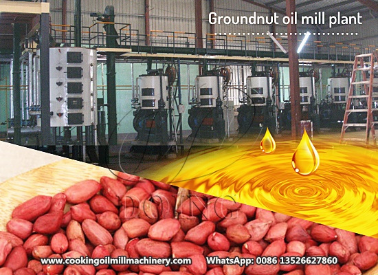 How much does it cost to set up a peanut oil processing plant in India?