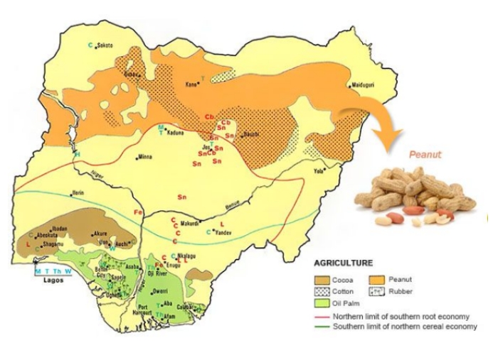 Groundnut oil market.jpg