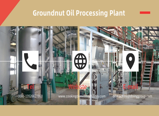 Is groundnut oil production business profitable in Nigeria?