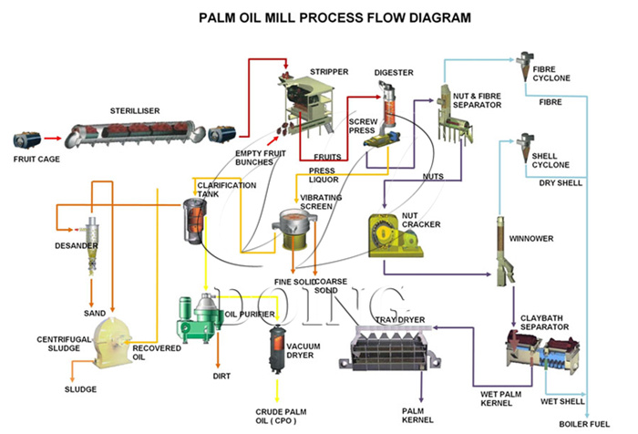Palm oil processing.jpg