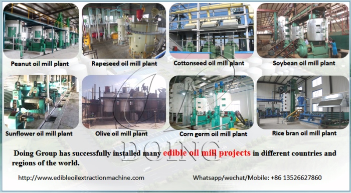 sunflower oil production line project cases