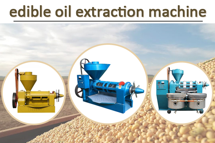 How to extract soybean oil at home?
