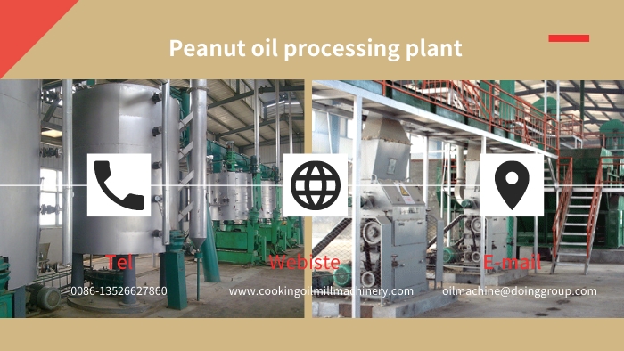 Groundnut oil extraction factory