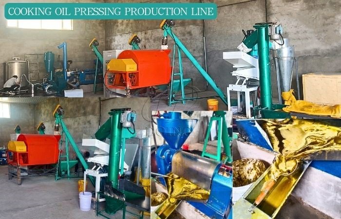 Cooking oil processing plants