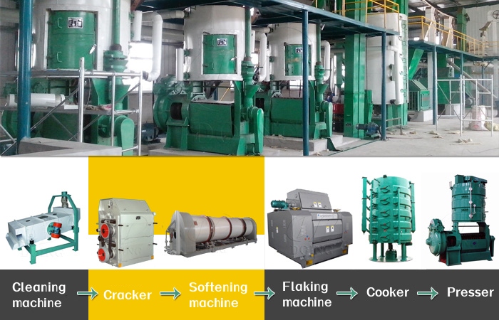 Maize oil extraction machines