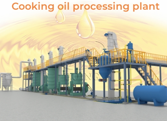 How to extract edible oil from maize?