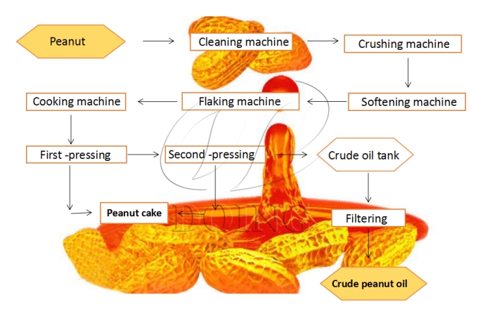 The peanut oil pressing process