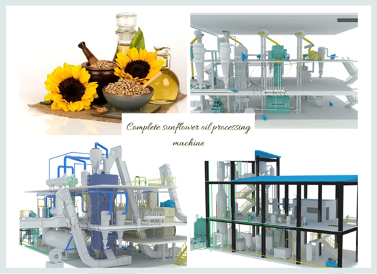 What are the sections of the cooking oil processing line?