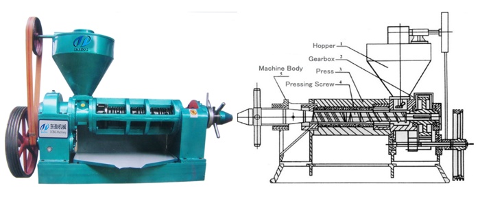 Sunflower seed screw oil press machine.jpg
