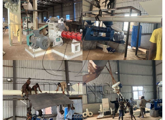 50TPD soybean oil puffing press production line in Nigeria