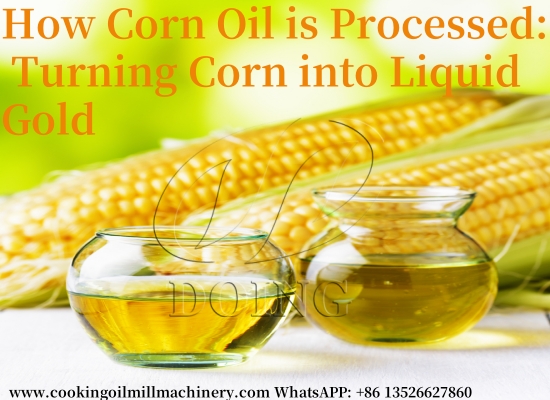 How corn oil is processed: turning corn into liquid gold