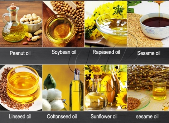 What are the factors affecting the edible oil extraction effect?