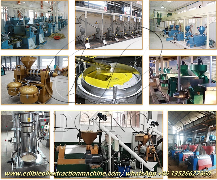 Edible oil production equipment.jpg