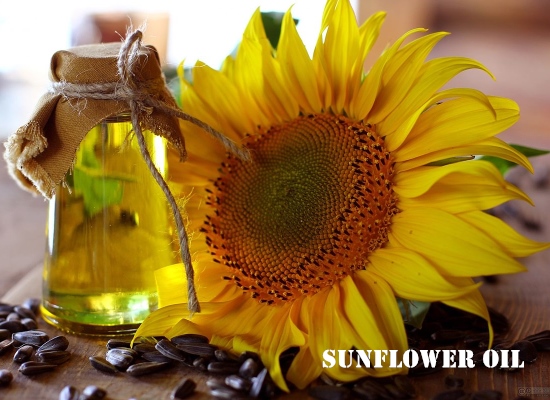 Which sunflower oil making machines should I use to invest in sunflower oil production?