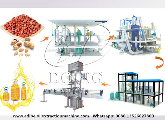 Key steps in peanut oil production: from raw material to refined oil
