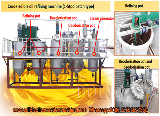 Upgrade your edible oil plant: top refining equipment to maximize product value