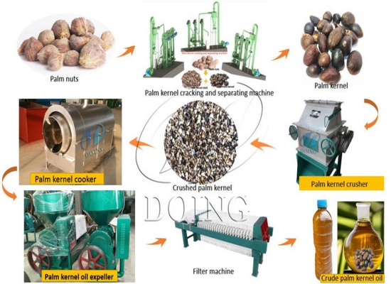 How Existing Palm Oil Mills Can Process Kernel Oil Efficiently?