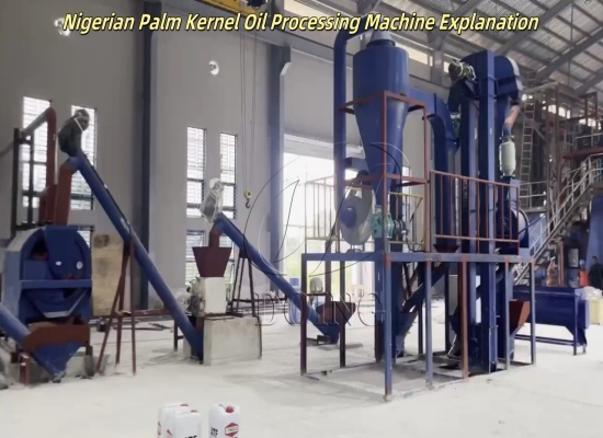Feedback Video of palm kernel oil extraction machines Successfully Installed for Nigerian Customer