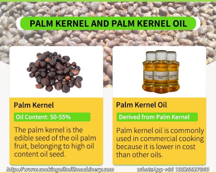 palm kernel and palm kernel oil.jpg