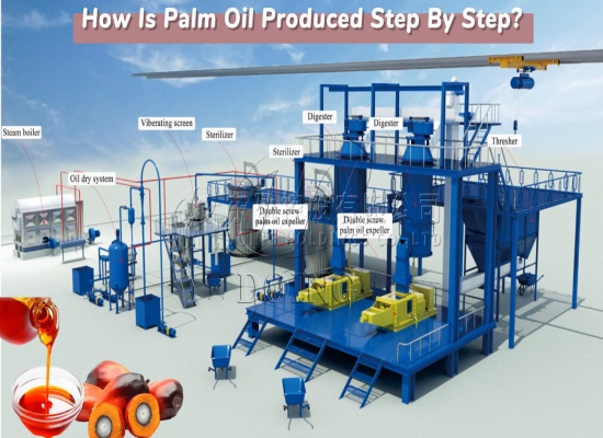 1-5tph palm oil extraction plant 3D video introduction