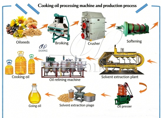 What Is the Complete Process to Make Peanut Oil, from Raw Peanuts to Bottled Oil?