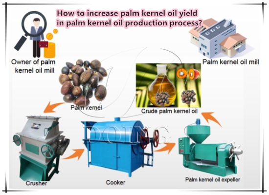 From local visit to local pickup: Nigerian agri-trader finalizes palm kernel oil extraction machines deal