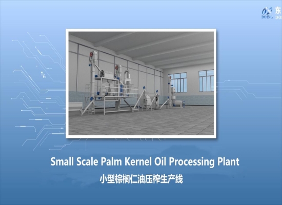 Small scale palm kernel oil extraction plant 3D layout & equipment showcase video