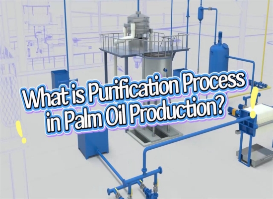 Introduction video of palm oil clarification process