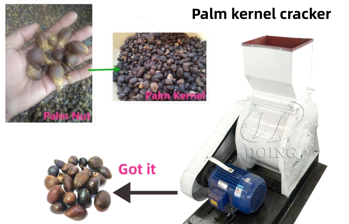 Palm nut cracker