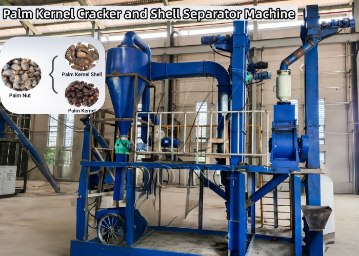 Palm kernel shell separation equipment