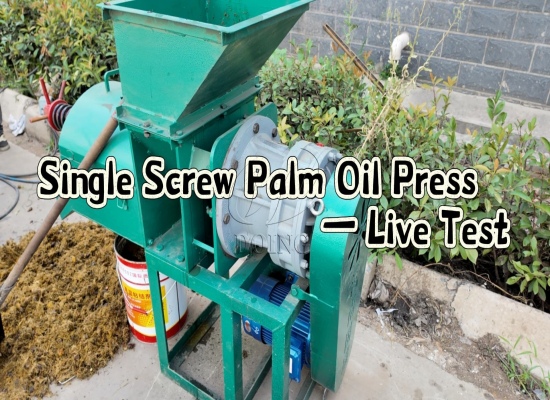 Palm oil expeller factory testing video