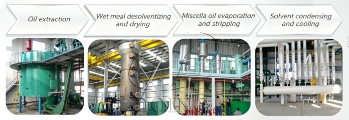 Sunflower seed solvent extraction equipment