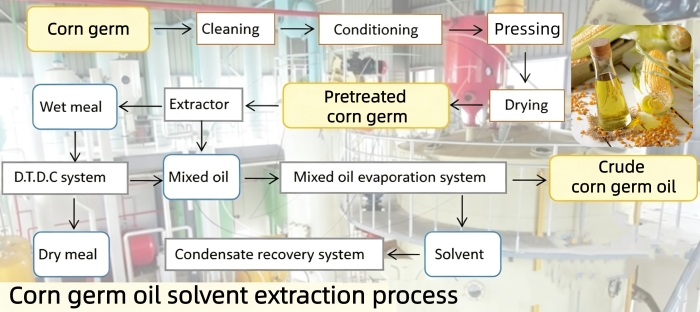 Corn germ oil solvent extraction process
