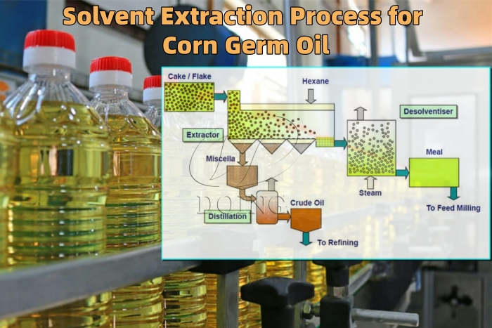 Corn germ oil solvent extraction method