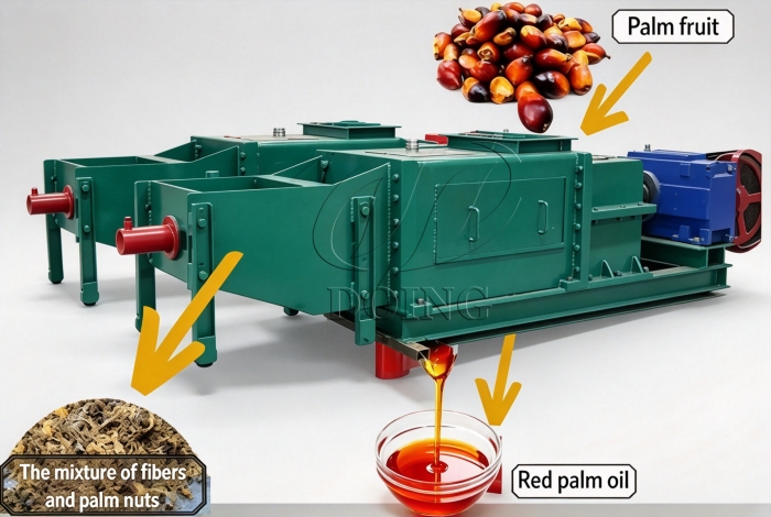 Double screw palm oil press machine