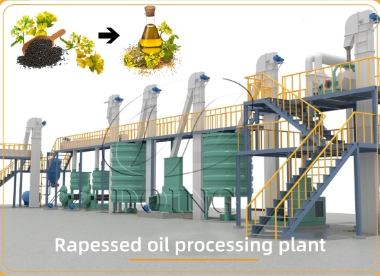 Rapeseed oil pressing vs extraction: Which method is right for your business? Rapeseed oil pressing vs extraction: Which method is right for your business?