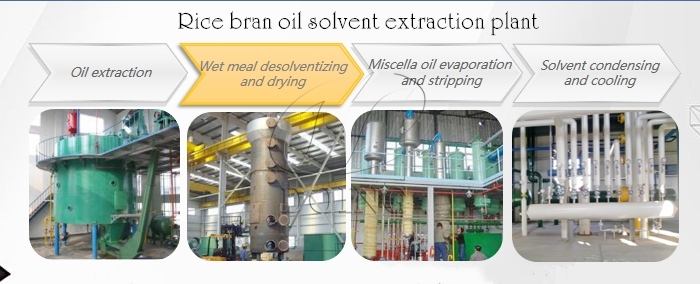 oil solvent extraction plant