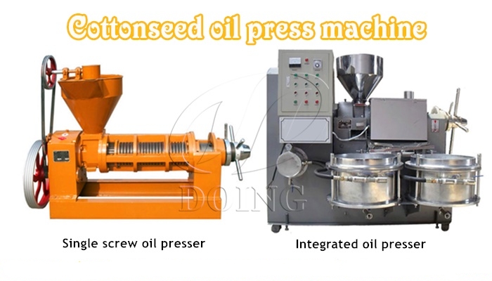 Cottonseed oil press machine from Glory Oiltech