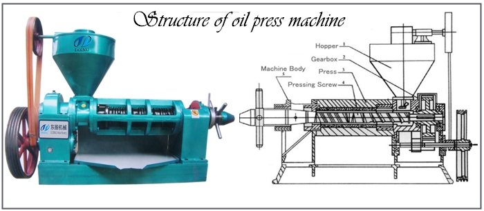 Structure of oil expeller machine
