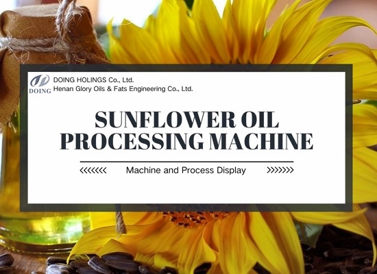 Machines for making sunflower oil in large factory
