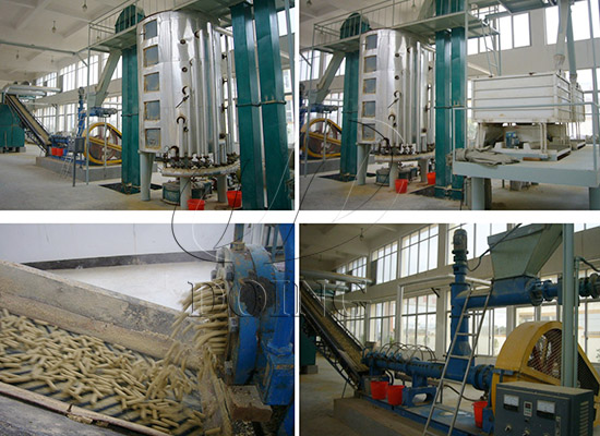 100TPD rice bran oil mill plant in Egypt