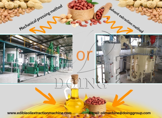 What are the common extraction methods of extracting peanut oil in peanut oil processing process?