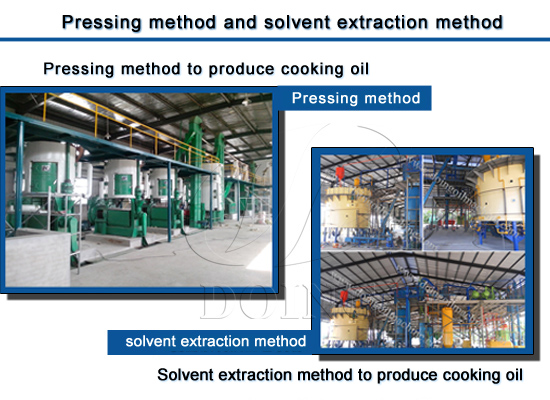 What is the difference between pressing technology and solvent extraction technology of cooking oil ? Which one is the best?