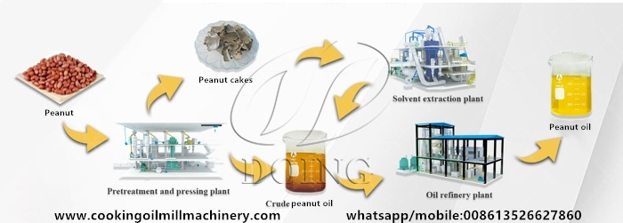 peanut oil manufacturing process