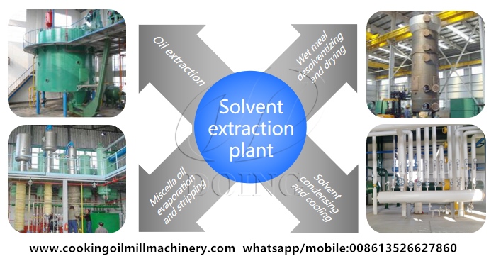 canola oil extraction plant